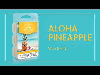 Aloha Pineapple Classic Wax Melts 2.5oz - COMING SOON